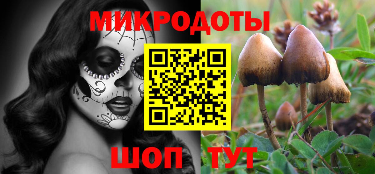 Кушва  Галлюциногенные грибы Cubensis  как найти   Вход с VPN 